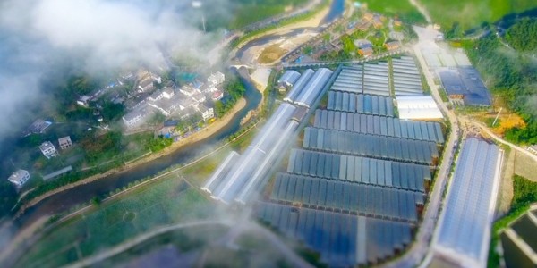金融活水潤澤“希望田野”｜農發行精準信貸賦能，貴陽市建筑設計院全域土地整治項目前景廣闊