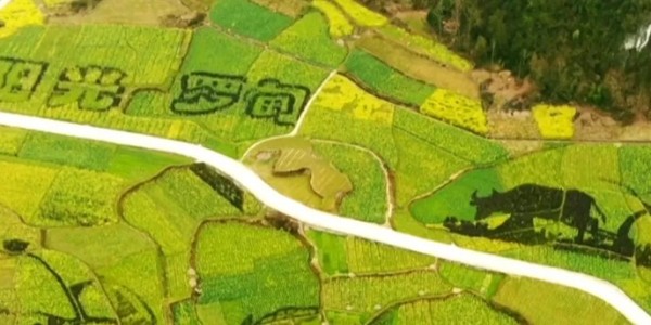 土地的涅槃｜全域土地綜合整治為何爆火？設計院如何搶占風口？